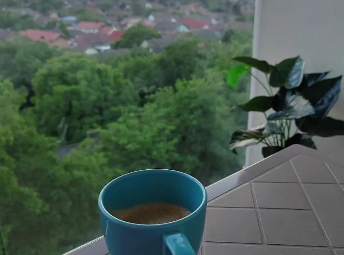 Krstic_lux Apartament Subotica